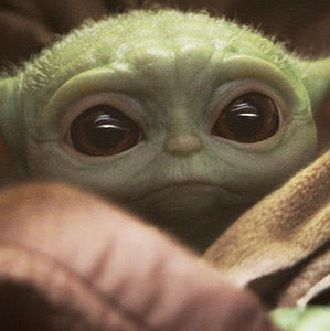 Meet your Posher, Lex